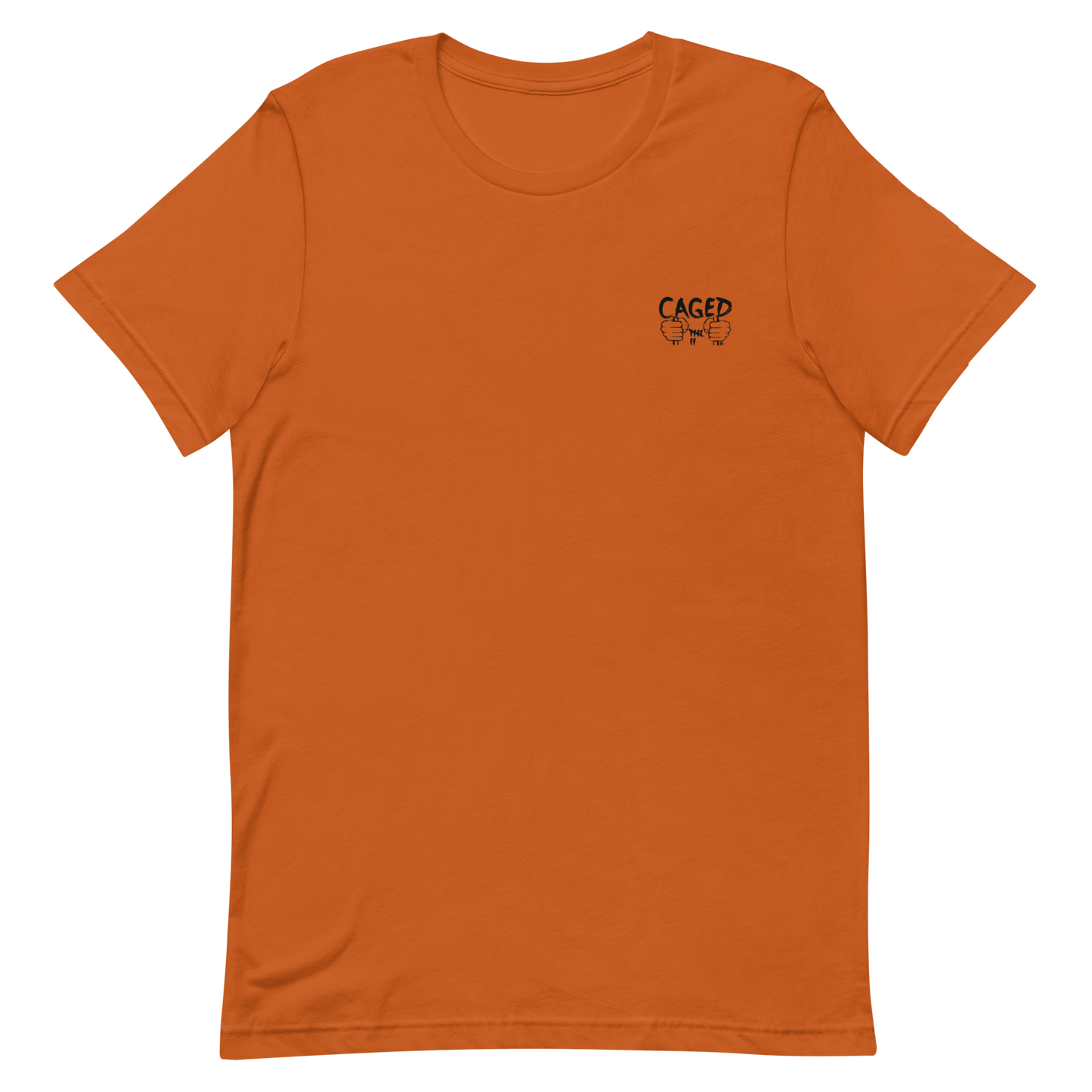 Classic T-Shirt (CL304)