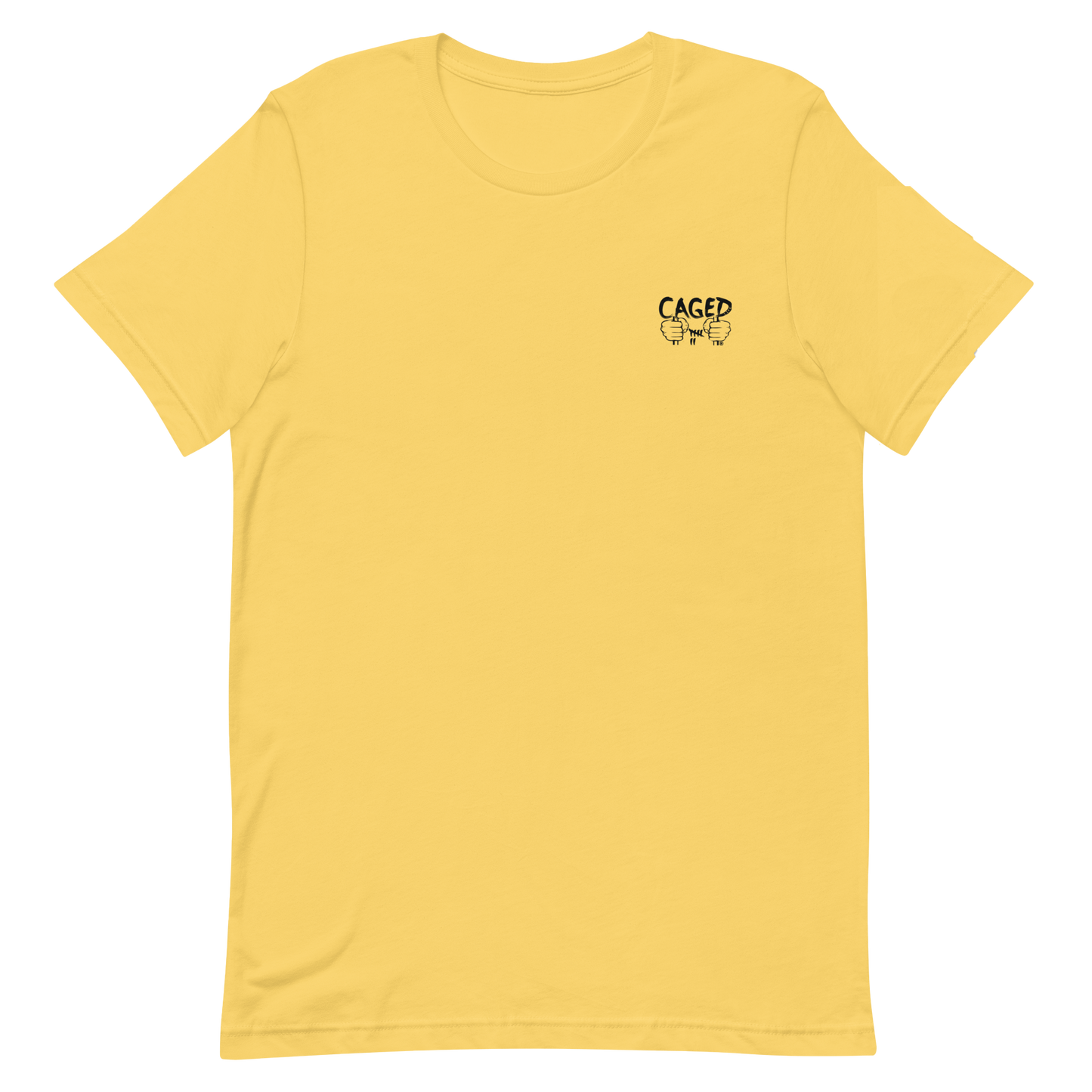 Classic T-Shirt (CL304)